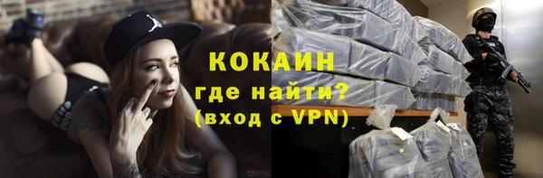 кокс Алексин