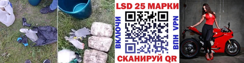 наркота Приморск hydra вход Лсд 25 экстази кислота