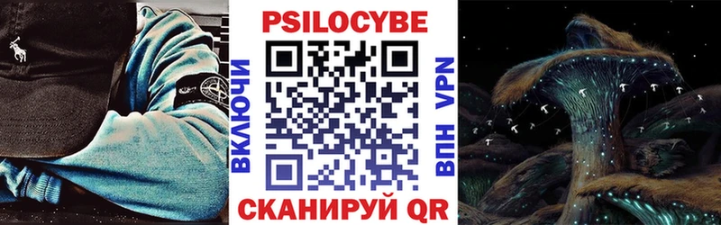 купить   Приморск  Галлюциногенные грибы Cubensis 